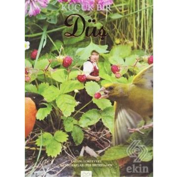 Küçük Bir Düş - Lori Evert