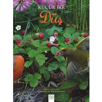 Küçük Bir Düş - Lori Evert