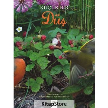 Küçük Bir Düş - Lori Evert