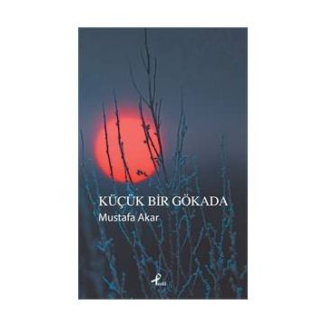 Küçük Bir Gökada - Mustafa Akar