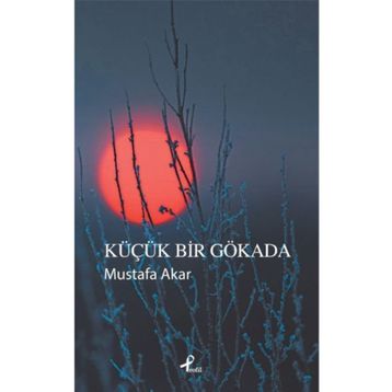 Küçük Bir Gökada - Mustafa Akar