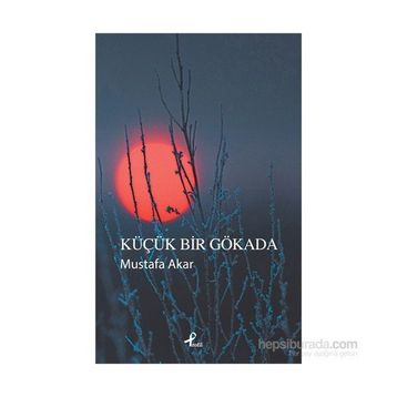 Küçük Bir Gökada - Mustafa Akar