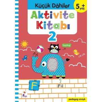 Küçük Dahiler +5 Yaş Aktivite Kitabı 2