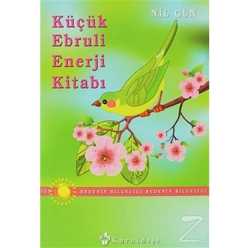 Küçük Ebruli Enerji Kitabı - Nil Gün