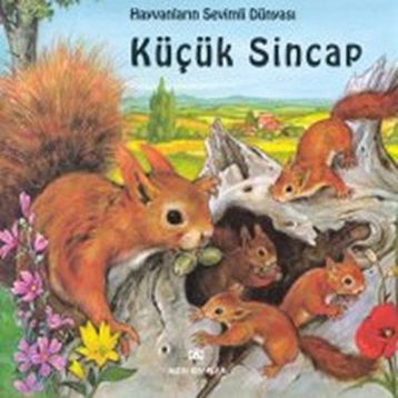 KÜÇÜK SINCAP - GENEL