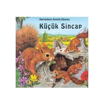 KÜÇÜK SINCAP - GENEL