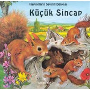 KÜÇÜK SINCAP - GENEL