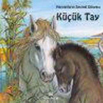 KÜÇÜK TAY - GENEL