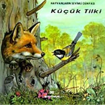 KÜÇÜK TILKI - GENEL