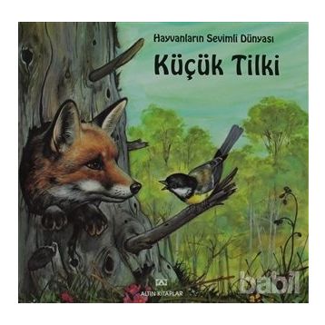 KÜÇÜK TILKI - GENEL