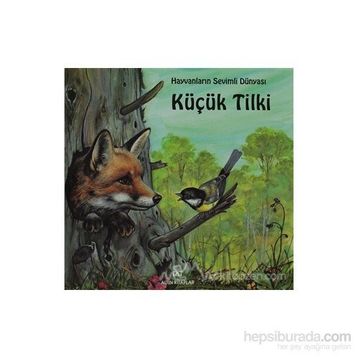 KÜÇÜK TILKI - GENEL