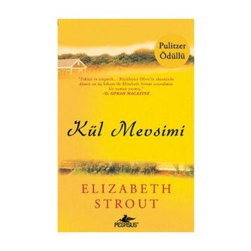 KÜL MEVSIMI - ELIZABETH STROUT
