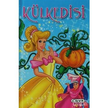 KÜLKEDİSİ - KOLLEKTIF