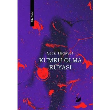 Kumru Olma Rüyası - Seçil Hidayet