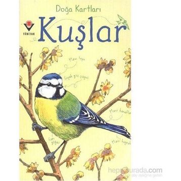 KUŞLAR - EMILY BONE