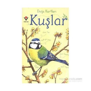 KUŞLAR - EMILY BONE