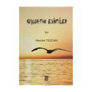 Kuşluk Tan Esintiler - Necdet Tezcan