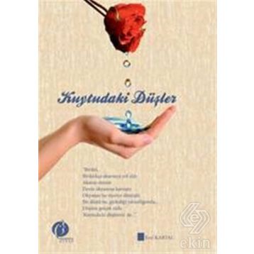 Kuytudaki Düşler - Erol Kartal