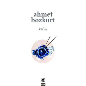 Kuyu Ayrıntı Yayınları