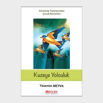 Kuzey’e Yolculuk - Nadir Doğan