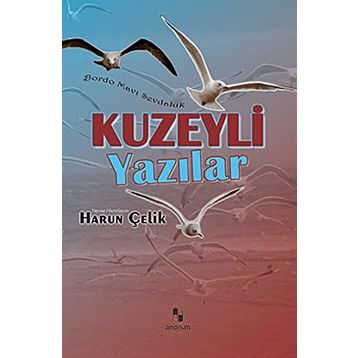 KUZEYLI YAZILAR - HARUN ÇELİK