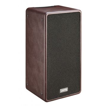 Laney A-DUO 2x8 Akustik Gitar Amfisi