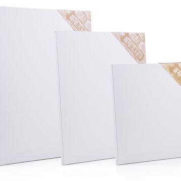 Larte 50x70 cm Profesyonel Tuval
