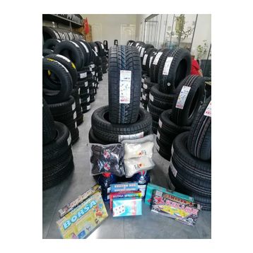 Lassa 245/45 R19 102W XL Competus Winter 2+ Kış Lastiği