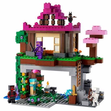 Lego 21183 Minecraft Eğitim Alanı