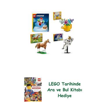 Lego 30692 + 31149 + 31166 + 31152 Creator Seti 208