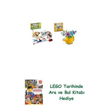 Lego 31137 + 31149 Creator Seti 74