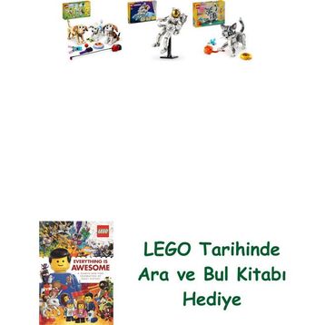 Lego 31137 + 31152 + 31163 Creator Seti 165