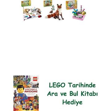 Lego 31137 + 31154 + 31169 Creator Seti 147