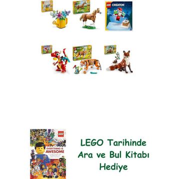 Lego 31149 + 31166 + 30692 + 31145 + 31129 + 31154 Creator Seti 477
