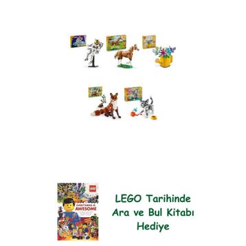 Lego 31152 + 31166 + 31149 + 31154 + 31163 Creator Seti 354