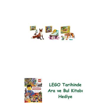 Lego 31154 + 31148 + 31129 Creator Seti 161