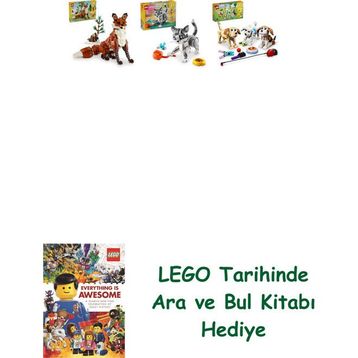 Lego 31154 + 31163 + 31137 Creator Seti 129