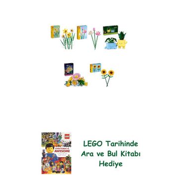 Lego 40747 + 40647 + 10349 + 10347 + 40524 Botanicals Seti 336