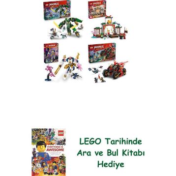 Lego 71845 + 71831 + 71807 + 71844 Ninjago Seti 225