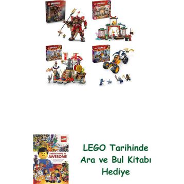 Lego 71846 + 71831 + 71818 + 71811 Ninjago Seti 204