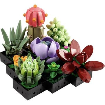 Lego Botanicals 10309 Sukulentler