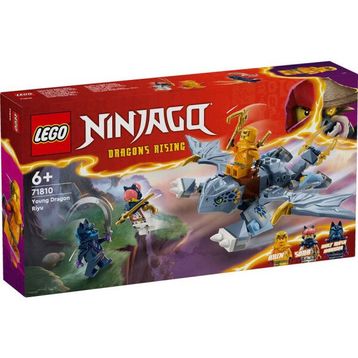 Lego Nınjago 71810 Genç Ejderha Riyu