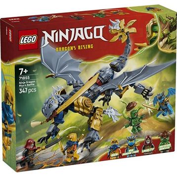 Lego Ninjago 71855 Ninja Ejderha Riyu'nun Savaşı