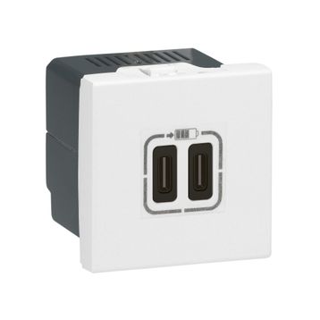 Legrand 077590 Telefon Şarjı için 5 Volt 3 Amper C+C Tipi İkili Usb Priz