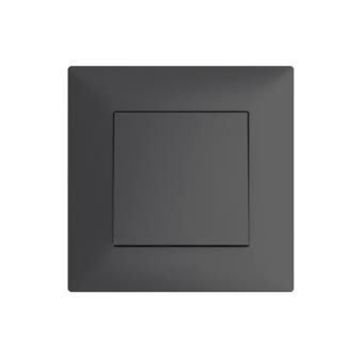 Legrand 768800 Raventi Titanyum Anahtar