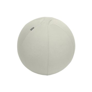 Leitz 65410085 Ergo Active 55 cm Açık Gri Kaymaz Oturma Topu