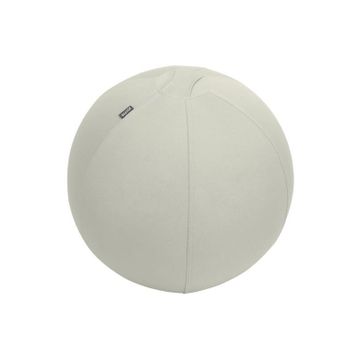 Leitz 65410085 Ergo Active 55 cm Açık Gri Kaymaz Oturma Topu