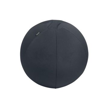 Leitz 65410089 Ergo Active 55 cm Koyu Gri Kaymaz Oturma Topu