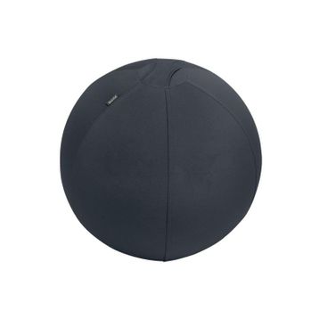 Leitz 65410089 Ergo Active 55 cm Koyu Gri Kaymaz Oturma Topu