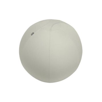 Leitz 65430085 Ergo Active 75 cm Açık Gri Kaymaz Oturma Topu